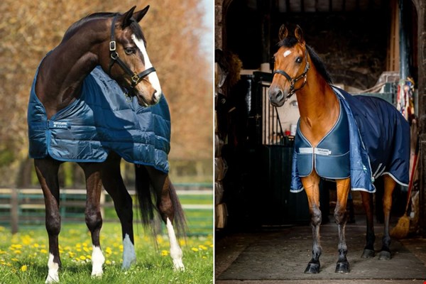 Waarom een paardendeken in de lente?